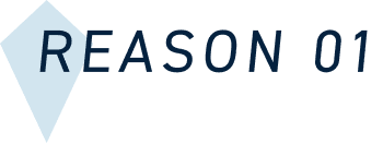 REASON 01
