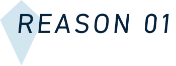 REASON 01