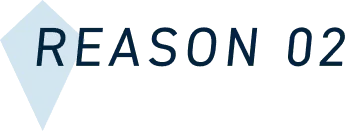 REASON 02