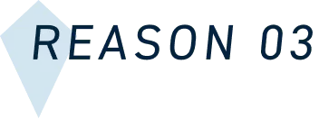 REASON 03